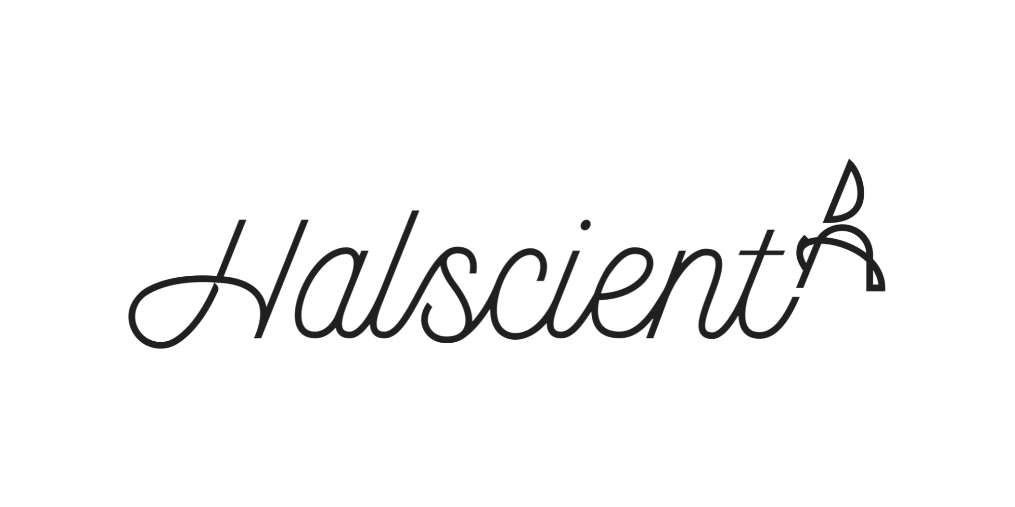 Halscient logo, Halcyon bird, Maine retreat, Heather Lux